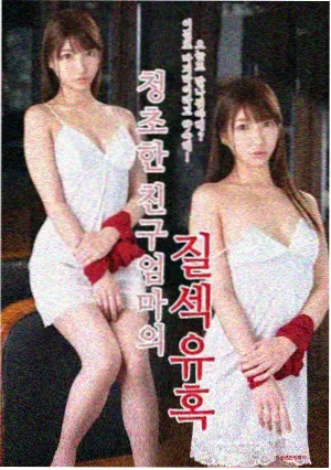 24集趋势观察